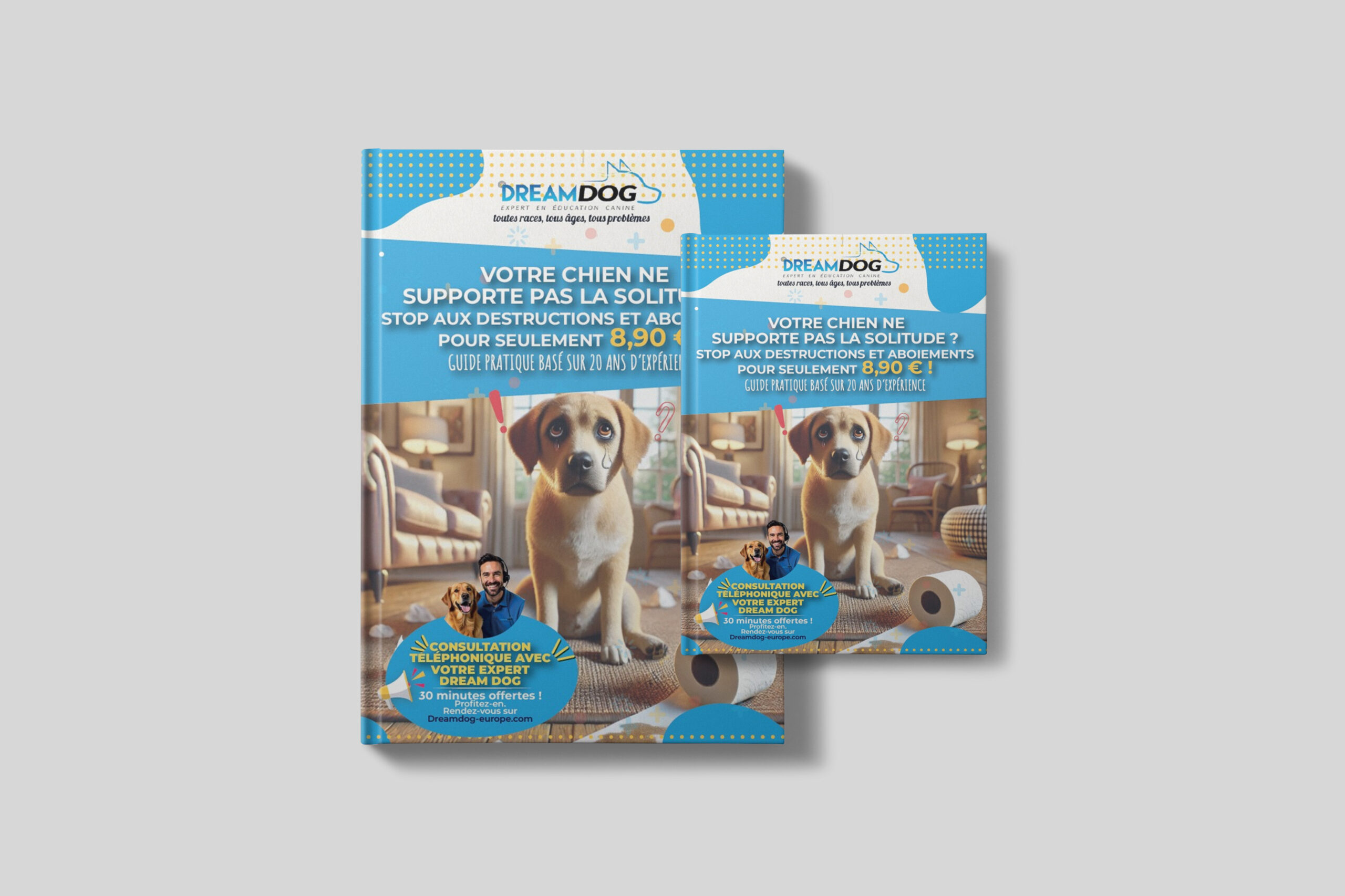 Brochure DreamDog Europe